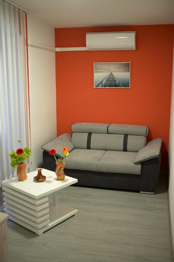 غييكا Studio Apartment "Dusica" المظهر الخارجي الصورة