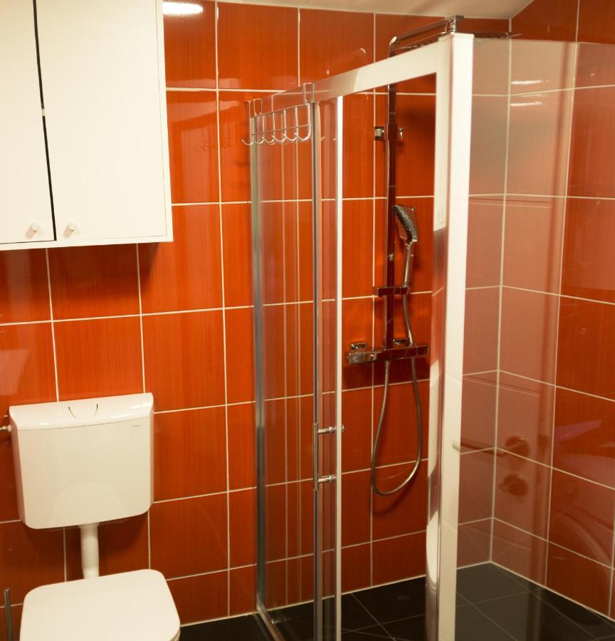 غييكا Studio Apartment "Dusica" المظهر الخارجي الصورة