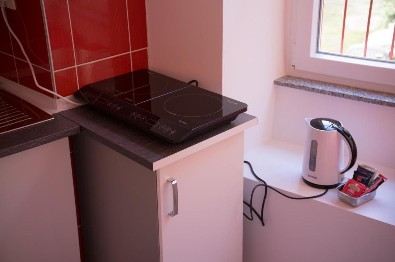 غييكا Studio Apartment "Dusica" المظهر الخارجي الصورة